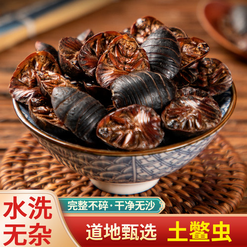 当季新货特级土鳖虫中药材