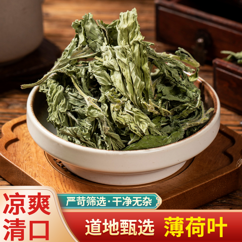 野生特级食用薄荷叶新鲜中药材