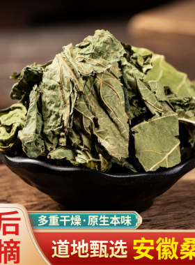 中药材 桑叶 野生霜后桑叶炒桑葚树叶茶家桑叶茶桑冬黄桑叶新货