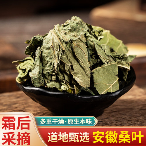 桑叶干野生霜后桑叶炒桑葚树叶