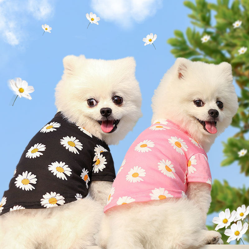 狗狗猫咪春夏秋出游宠物狗猫用品泰迪比熊小中型犬衣服潮装短袖