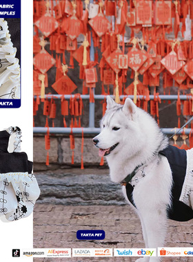 狗狗公主裙夏季凉感衣服连衣裙夏装蕾丝蝴蝶结可爱拍照宠物服装