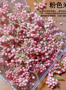 立体美甲干花素材盒多素材手工滴胶diy材料包美甲穿戴甲装饰品