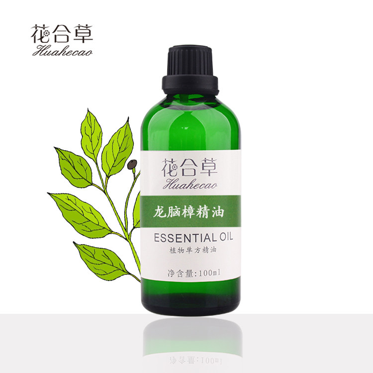 龙脑樟精油单方植物蒸馏纯精油香薰按摩芳疗美容院