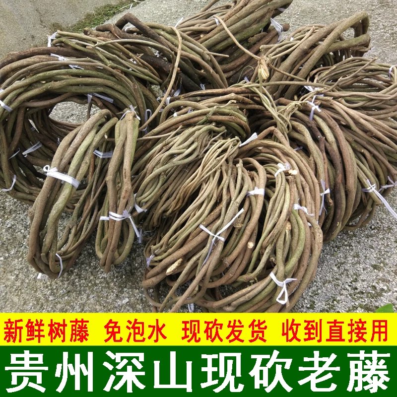 新鲜装饰树藤枯藤条红山藤婚庆烧仿真绿植