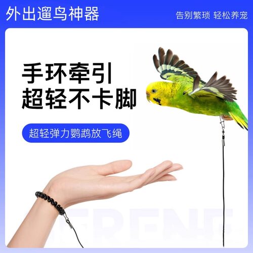 鹦鹉放飞绳牵引绳外出遛鸟