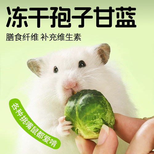 仓鼠零食孢子甘蓝冻干金丝熊粮食