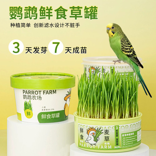 鹦鹉麦芽草粮大麦种子鸟草盒零食