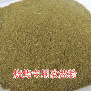 烧烤 纯孜然粉 撒料调料 羊肉串料 风味独特 50G