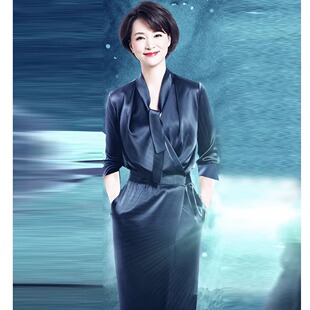 欧洲站2025春秋董卿明星同款V领职业端庄气质收腰长款礼服连衣裙