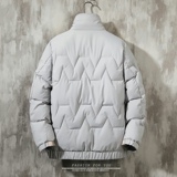 主推羊羔绒立领棉衣冬季爆款青年休闲纯色棉服外套MY8608-P105，男装棉衣，星座313B-2
