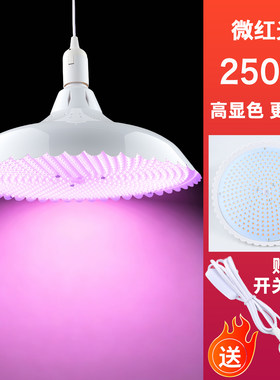 加大版大功率LED白光灯超亮微红