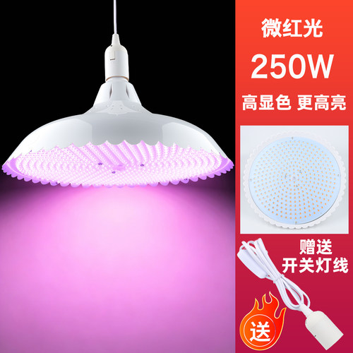 加大版大功率LED白光灯超亮微红