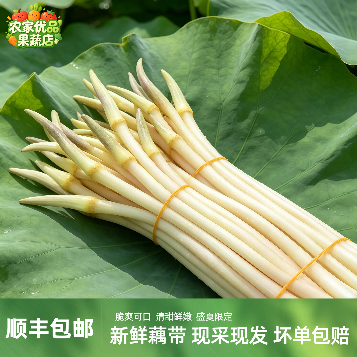 顺丰包邮新鲜藕带藕尖现挖现发野生藕肠子莲藕梢湖南农家时蔬3斤
