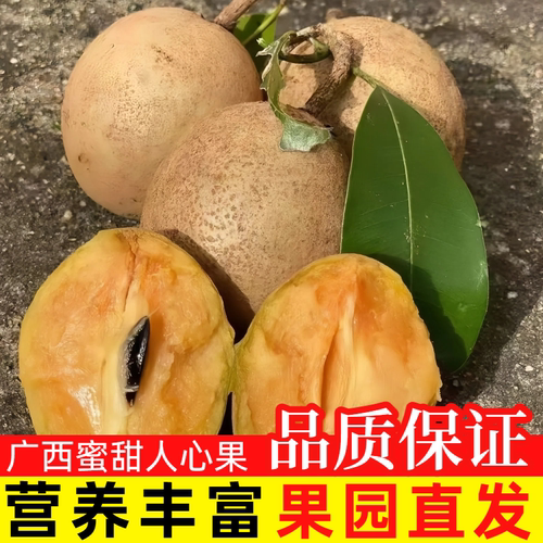 人心果新鲜现摘特大果当季孕妇热带稀罕见水果整箱5斤人心果