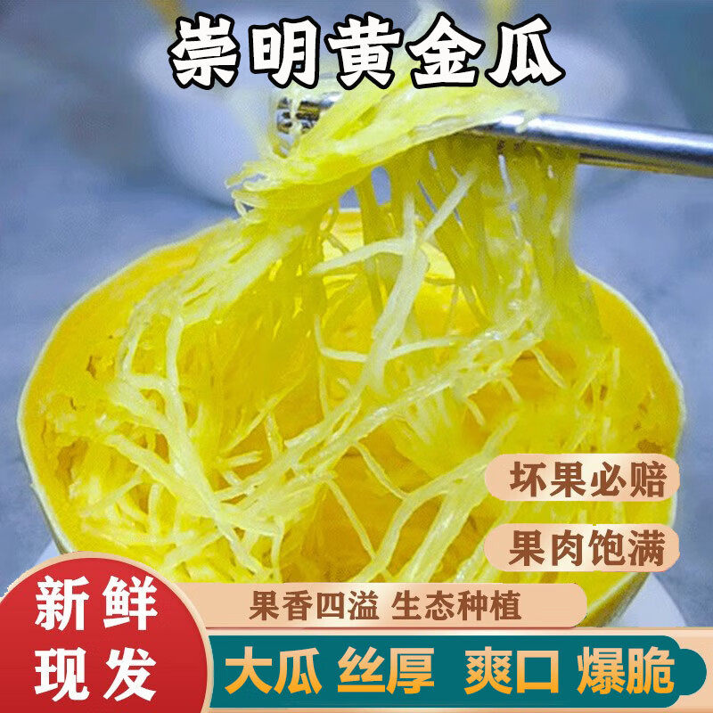 崇明岛新鲜角瓜搅瓜绞瓜金丝瓜鱼翅瓜黄金瓜金瓜茭瓜凉拌瓜绞丝瓜