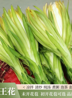 顺丰新鲜霸王花新鲜肇庆特产开苞鲜花当季煲汤火锅食用鲜花5斤