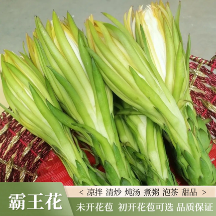 顺丰新鲜霸王花新鲜肇庆特产开苞鲜花当季煲汤火锅食用鲜花5斤