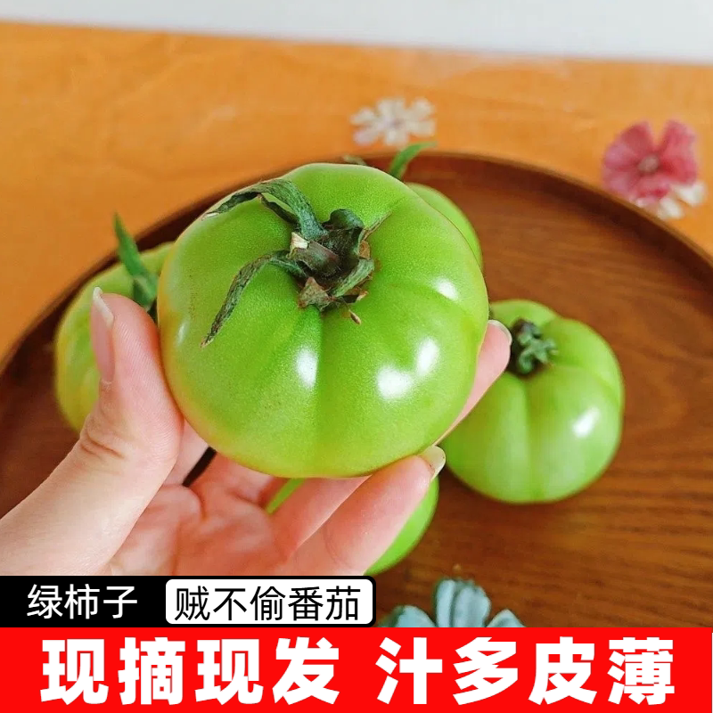 现摘贼不偷西红柿东北特产青绿番茄当季新鲜水果蔬菜自然熟大柿子