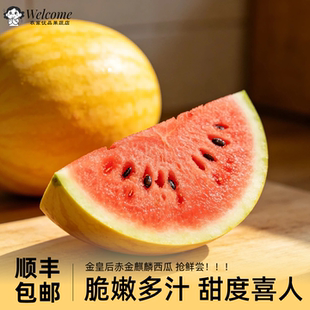 【顺丰】金麒麟黄皮西瓜金皇后赤金西瓜红肉西瓜脆甜爽口黄皮现摘