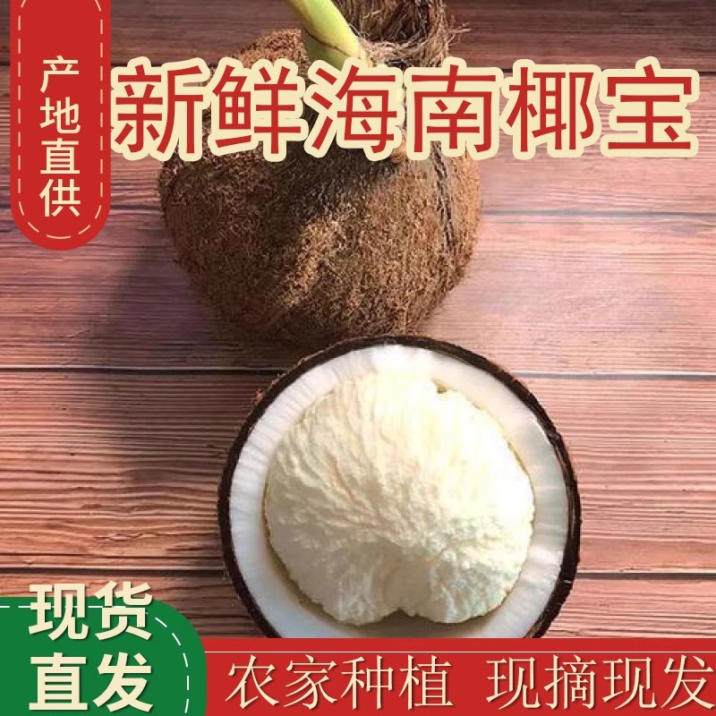 新鲜椰宝海南正宗发芽老椰子肉当季现摘新鲜孕妇水果椰汁椰皇包邮