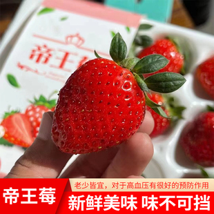 北京新发地纯甜无酸当季帝王莓新鲜水果草莓礼盒装快递包邮
