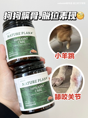 vetwish绿贻贝双鲨关节粉保护关节养护关节营养补充剂猫狗通用