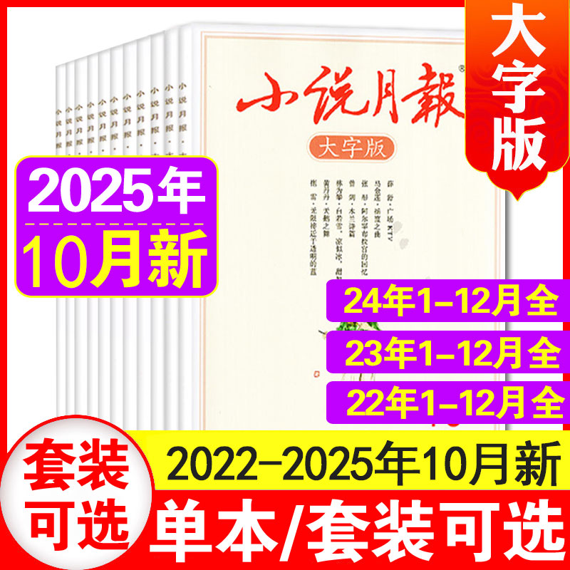 小说月报大字版正版现货