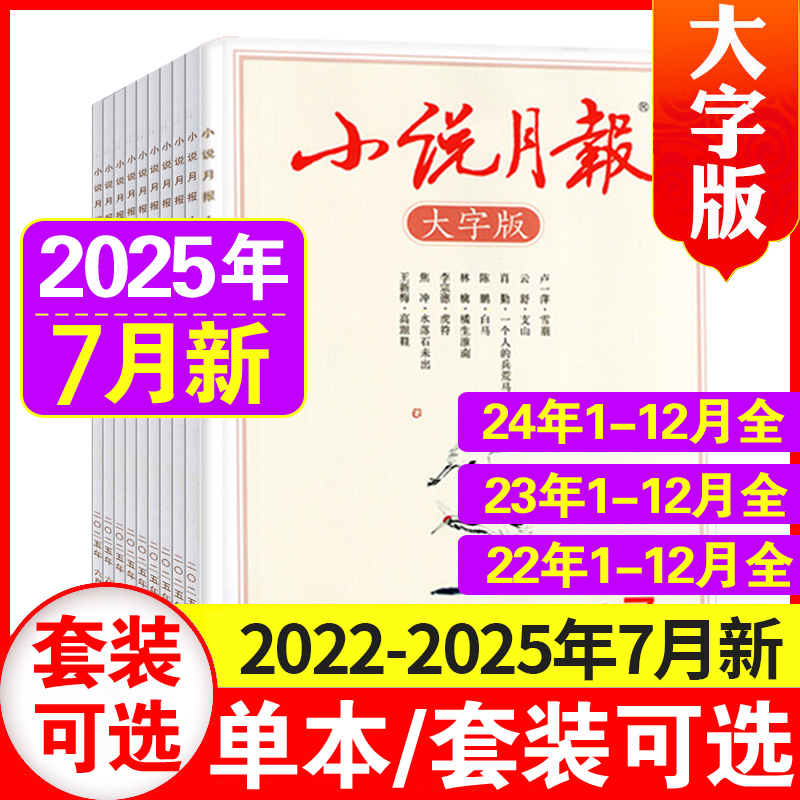 小说月报大字版杂志现货
