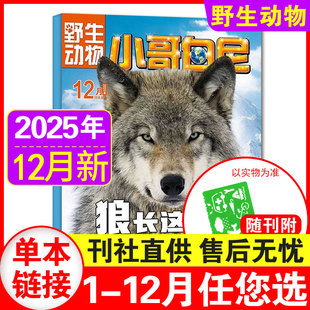 2024 2023年1 2022年 12月现货 12月 2021年 15岁小学生青少年科普百科期刊 小哥白尼杂志野生动物2025年1