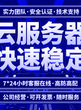 vps远程云服务器租用网站轻量etsy国内云主机宝塔电商cn2亚马逊