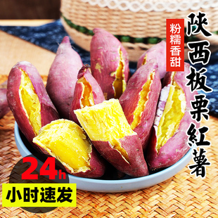 陕西正宗临潼板栗红薯沙地现挖新鲜番薯糖心自种小香薯甜山芋地瓜