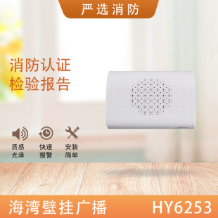 海湾壁挂广播BG5-2A/HY6253壁挂WY-XD5-5明装/HY6251吸顶音箱