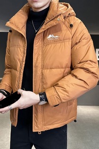 冬季店主风新款连帽羽绒服男 短款保暖羽绒外套Y5531-P165图片