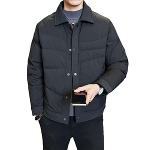标轻薄羽绒服男工装风冬季潮流翻领短款外套男士夹克Y809-P165图片