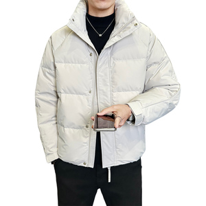 冬季男士立领羽绒服百搭潮流简约纯色休闲感蓬松羽绒衣Y2586-P235图片