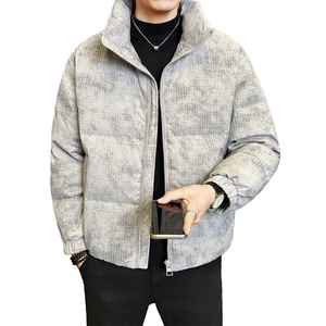 冬季店主风新款立领标羽绒服男 短款保暖羽绒外套Y12032-P230图片