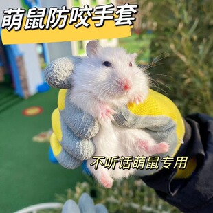 【不听话萌鼠手套】仓鼠防咬手套金丝熊用品儿童卡通防抓橡胶手套