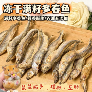 烘焙仓鼠冻干满籽多春鱼高蛋白营养零食金丝熊增肥长肉互动粮食