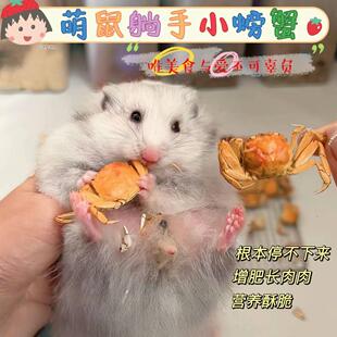 鲜烘焙仓鼠小螃蟹零食烘干磨牙补钙海鲜营养丰富金丝熊花枝鼠粮食