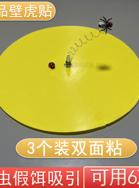 苍蝇假饵引诱驱赶壁虎神器家用去室内防壁虎克星爬虫贴粘小飞虫板