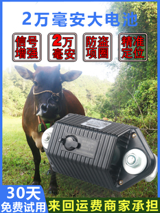 4G电信移动牛羊gps定位器北斗牛羊追踪神器马山区专用防丢失项圈