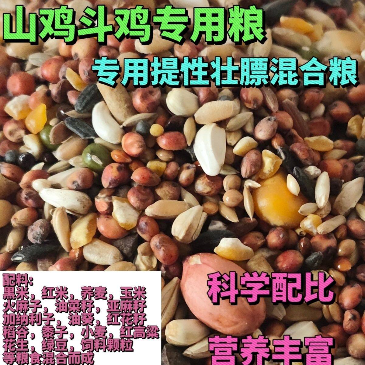 山鸡媒斗鸡媒食物七彩山鸡提性壮膘好斗饲料斗鸡粮鸟食山鸡粮食