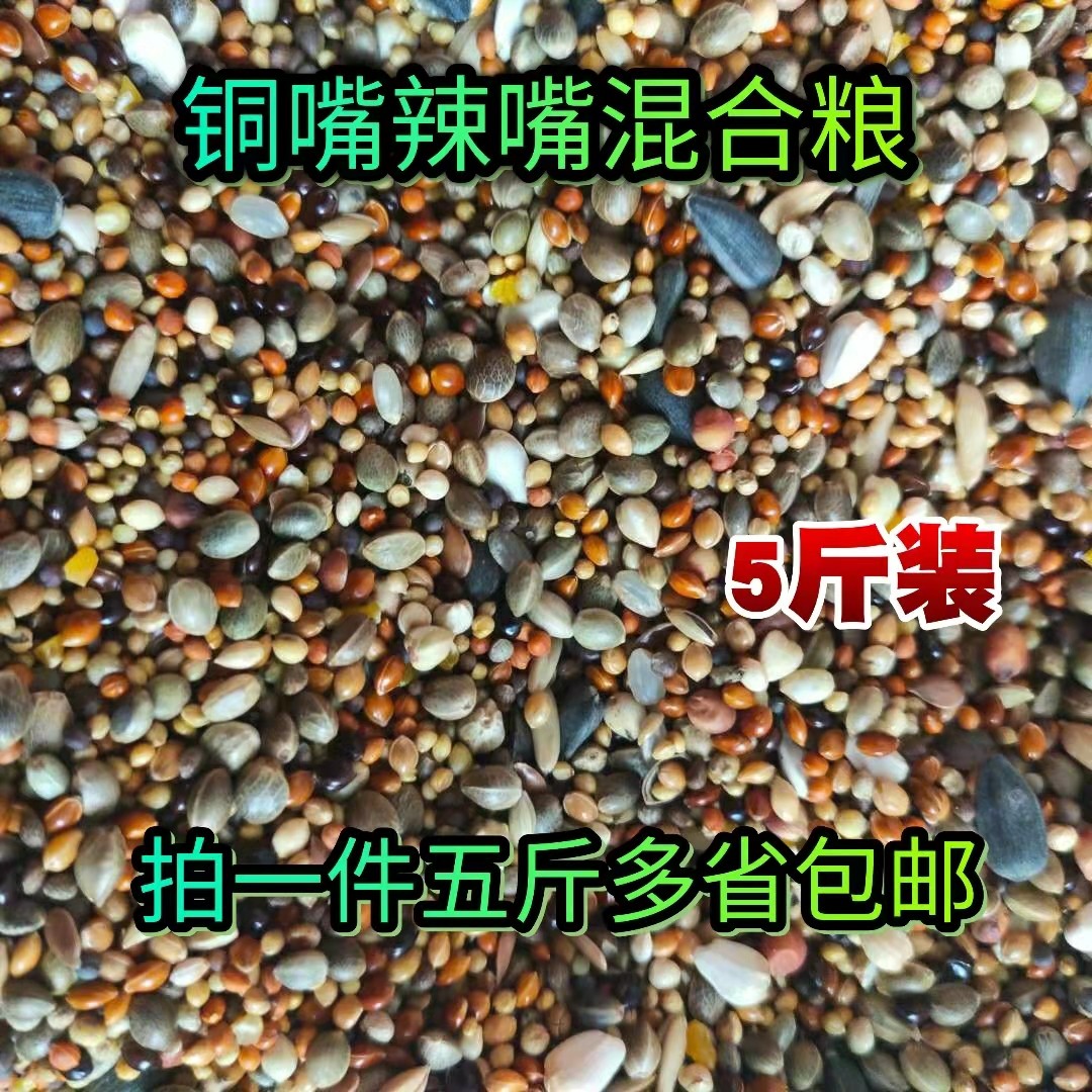 铜嘴鸟食 蜡嘴粮食竹鸡粮5斤包邮鸟饲料斑鸠粮鹦鹉粮蜡嘴铜嘴食粮