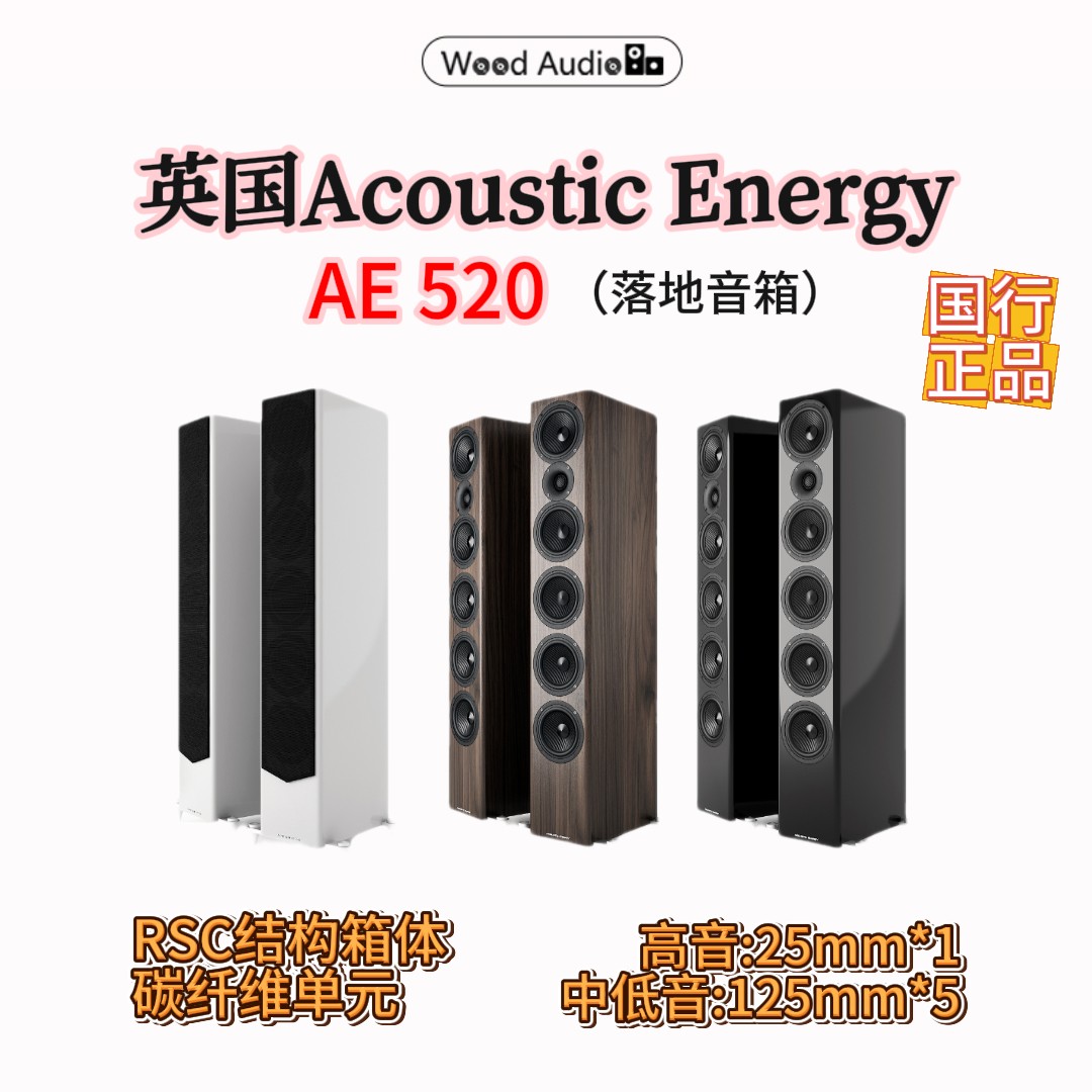 英国Acoustic Energy AE520落地音箱发烧级HIFI被动版国行杭州*