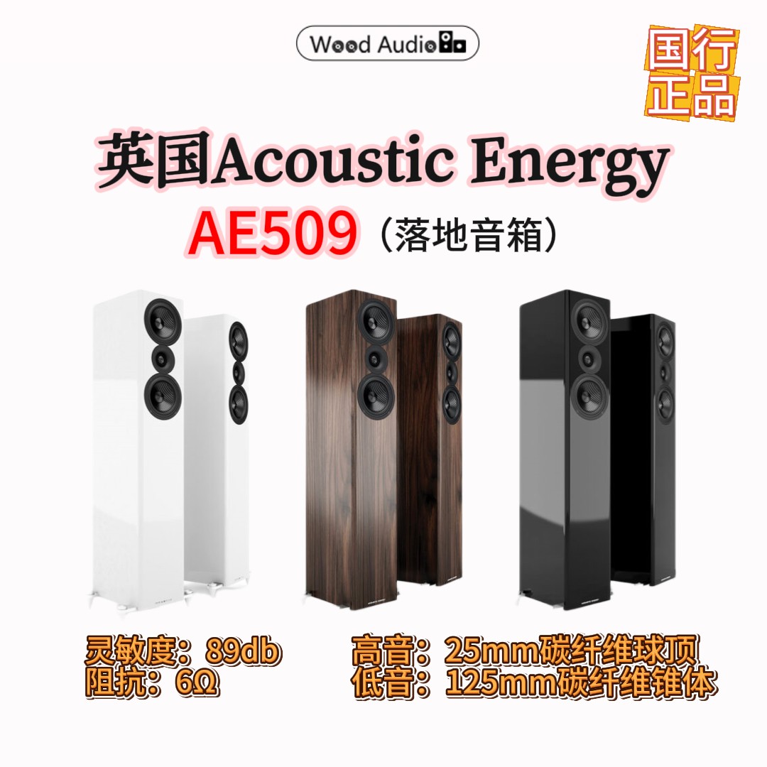英国Acoustic Energy AE509落地音箱发烧级HIFI被动版国行杭州*