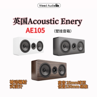 英国Acoustic Energy AE105壁挂式音箱On Wall国行AE被动箱杭州#