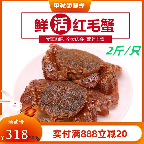红毛蟹鲜活特大红毛蟹俄罗斯