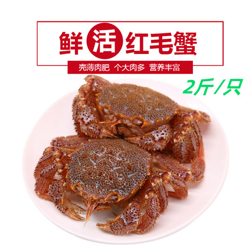 红毛蟹鲜活特大红毛蟹俄罗斯