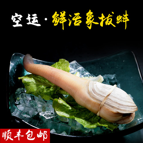 象拔蚌新鲜即食刺身切片